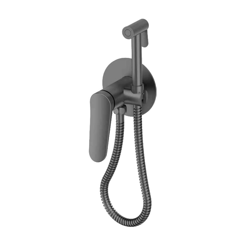 G7210-9 Смеситель GAPPO Гигиенический встраиваемый, оруж. сталь